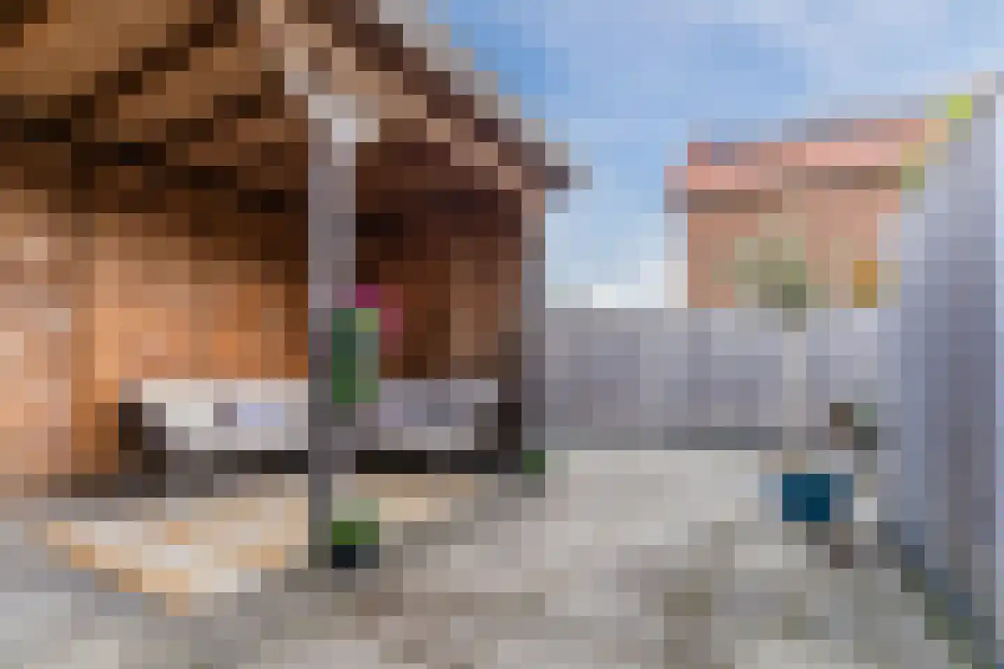Dijk 98 Broek op Langedijk thumbnail 8