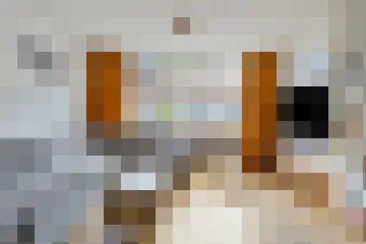 Dijk van Bommenede 22 Zonnemaire thumbnail 11