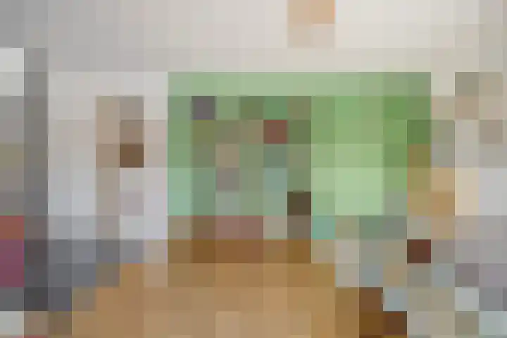Dijk van Bommenede 22 Zonnemaire thumbnail 12