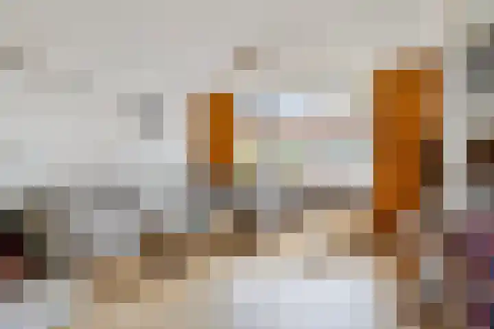 Dijk van Bommenede 22 Zonnemaire thumbnail 13