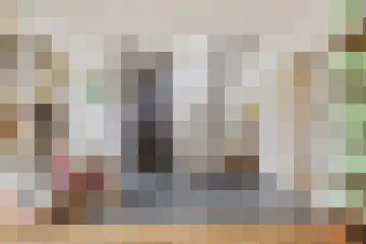 Dijk van Bommenede 22 Zonnemaire thumbnail 14