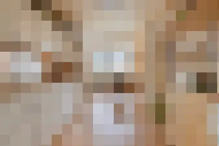 Dijk van Bommenede 22 Zonnemaire thumbnail 15
