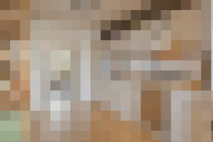 Dijk van Bommenede 22 Zonnemaire thumbnail 16