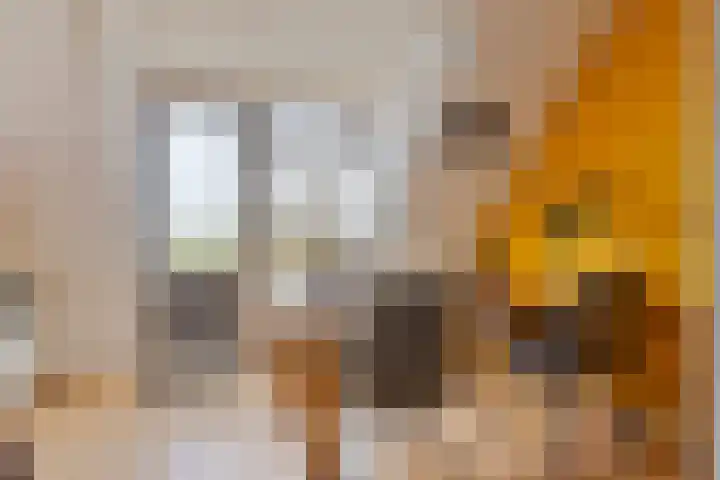 Dijk van Bommenede 22 Zonnemaire thumbnail 17
