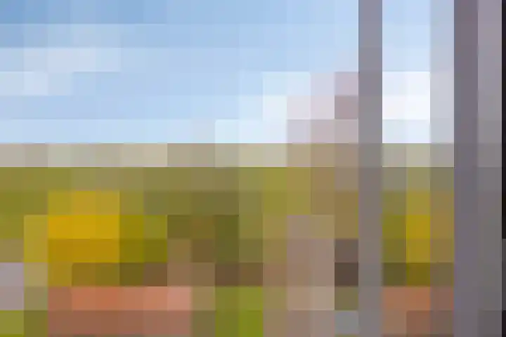 Dijk van Bommenede 22 Zonnemaire thumbnail 19