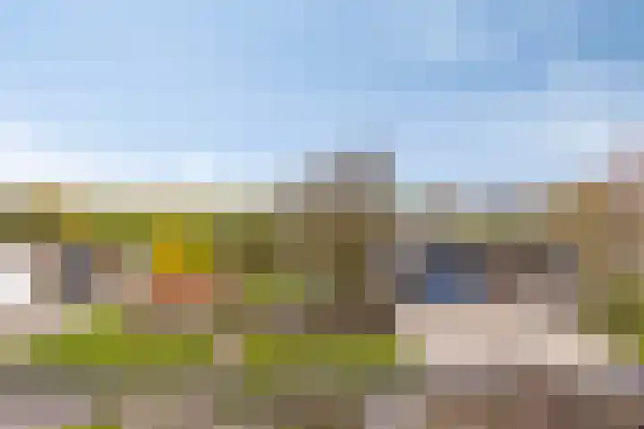 Dijk van Bommenede 22 Zonnemaire foto 2