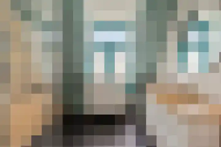 Dijk van Bommenede 22 Zonnemaire thumbnail 22