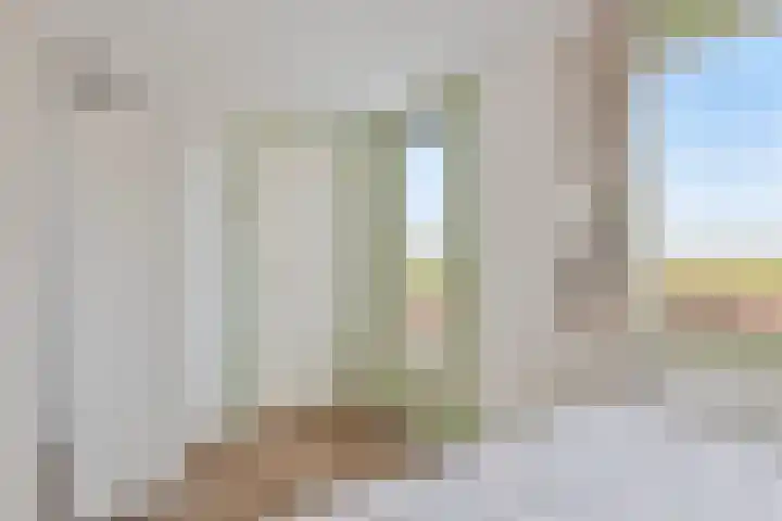 Dijk van Bommenede 22 Zonnemaire thumbnail 25