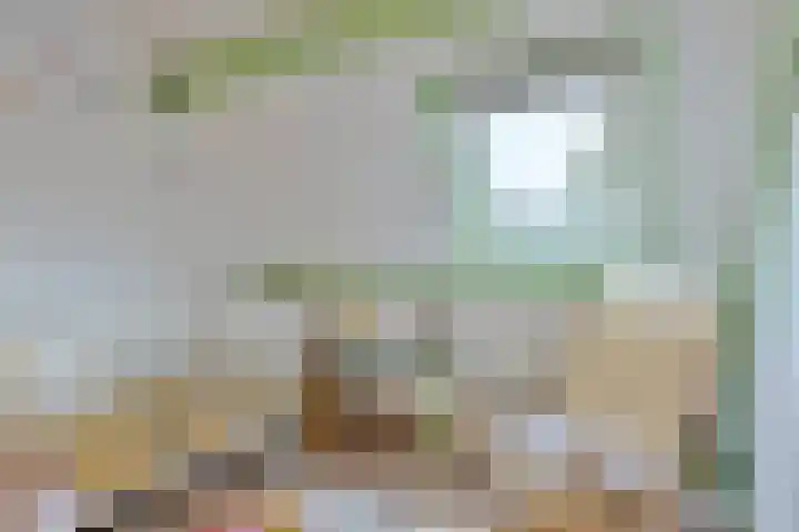 Dijk van Bommenede 22 Zonnemaire thumbnail 26