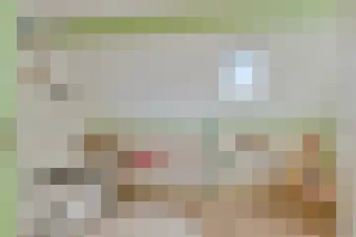 Dijk van Bommenede 22 Zonnemaire thumbnail 27