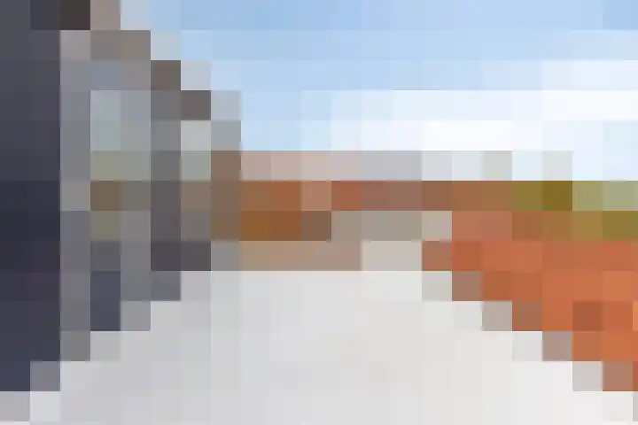 Dijk van Bommenede 22 Zonnemaire thumbnail 29