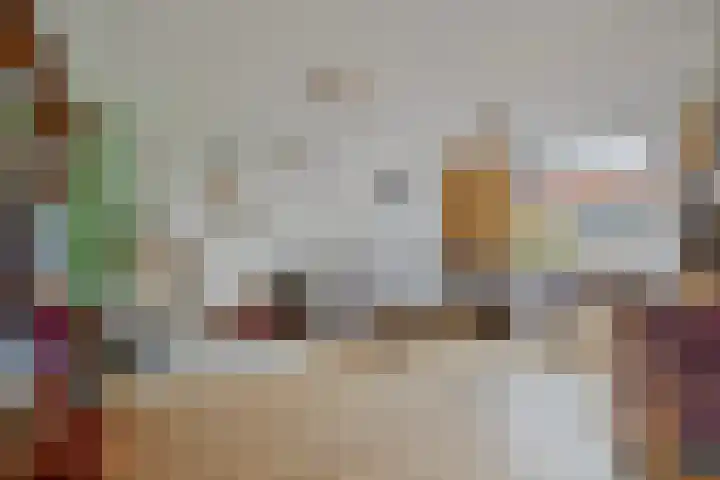 Dijk van Bommenede 22 Zonnemaire foto 3