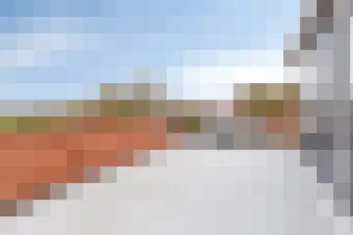 Dijk van Bommenede 22 Zonnemaire thumbnail 30