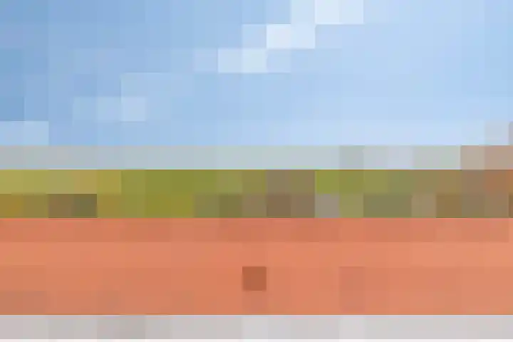 Dijk van Bommenede 22 Zonnemaire thumbnail 31