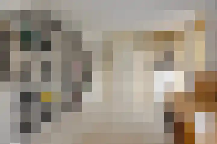 Dijk van Bommenede 22 Zonnemaire thumbnail 32