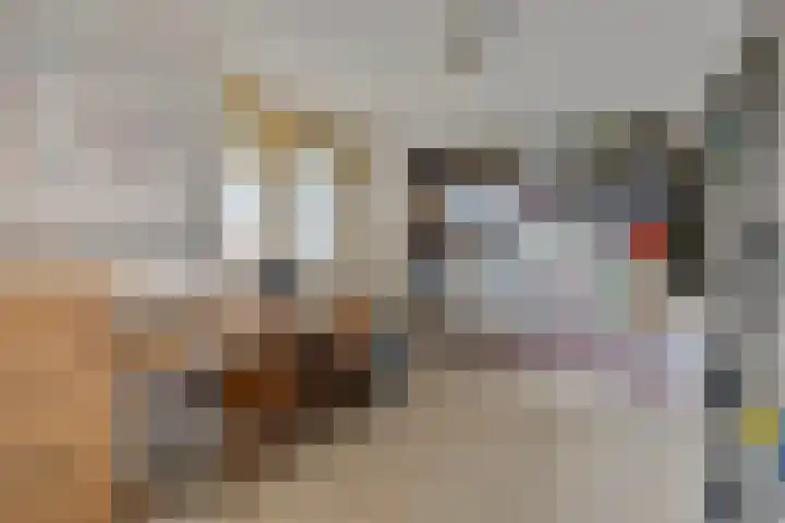 Dijk van Bommenede 22 Zonnemaire thumbnail 33