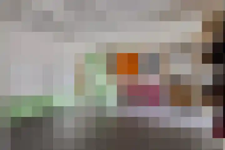 Dijk van Bommenede 22 Zonnemaire thumbnail 34