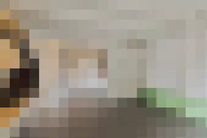 Dijk van Bommenede 22 Zonnemaire thumbnail 35