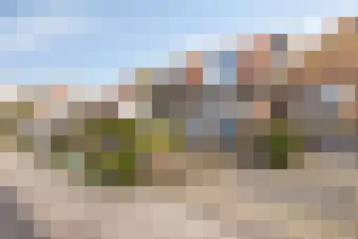 Dijk van Bommenede 22 Zonnemaire thumbnail 36