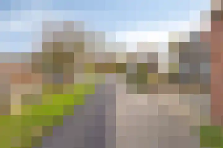 Dijk van Bommenede 22 Zonnemaire thumbnail 37