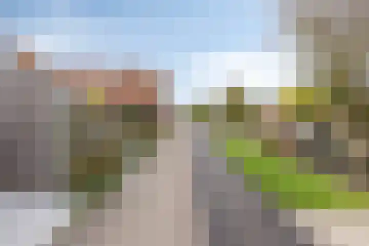Dijk van Bommenede 22 Zonnemaire thumbnail 38