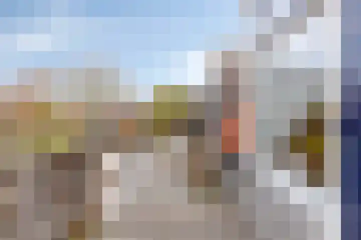 Dijk van Bommenede 22 Zonnemaire thumbnail 39