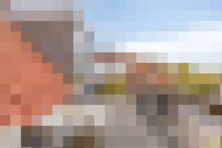 Dijk van Bommenede 22 Zonnemaire thumbnail 40