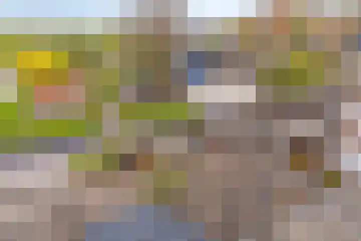 Dijk van Bommenede 22 Zonnemaire thumbnail 41