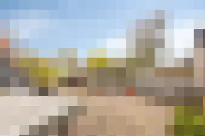 Dijk van Bommenede 22 Zonnemaire thumbnail 44