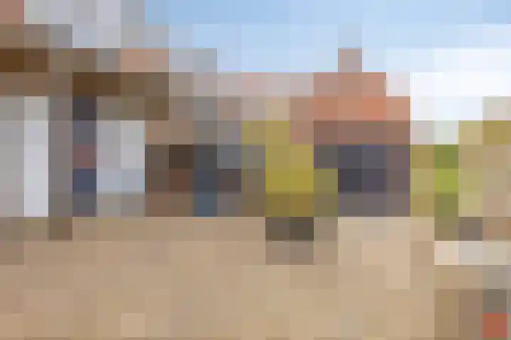 Dijk van Bommenede 22 Zonnemaire thumbnail 45