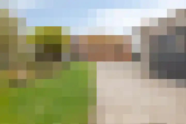 Dijk van Bommenede 22 Zonnemaire thumbnail 49
