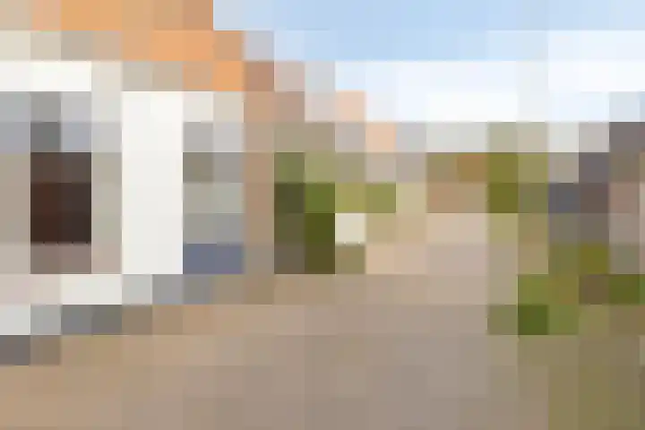 Dijk van Bommenede 22 Zonnemaire thumbnail 5