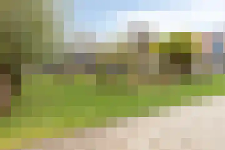 Dijk van Bommenede 22 Zonnemaire thumbnail 50