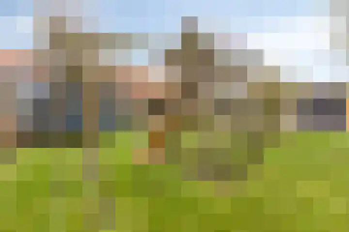Dijk van Bommenede 22 Zonnemaire thumbnail 51