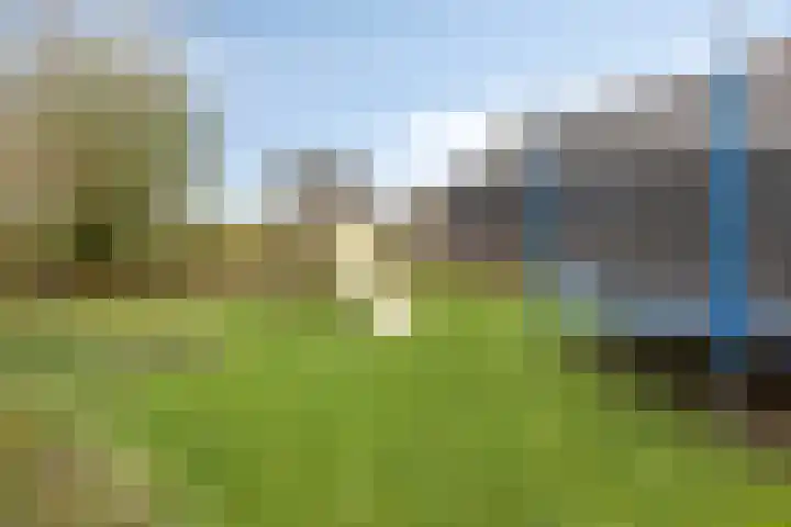 Dijk van Bommenede 22 Zonnemaire thumbnail 52