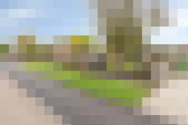 Dijk van Bommenede 22 Zonnemaire thumbnail 53