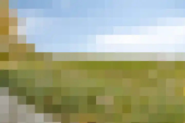Dijk van Bommenede 22 Zonnemaire thumbnail 55