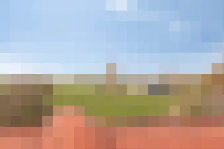 Dijk van Bommenede 22 Zonnemaire thumbnail 56