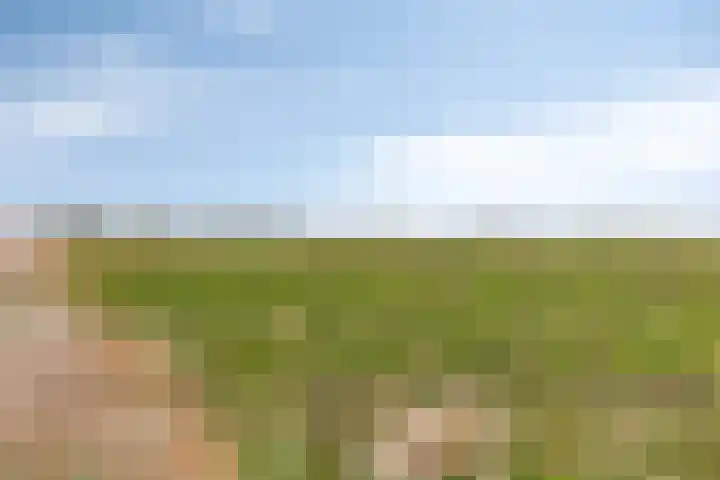 Dijk van Bommenede 22 Zonnemaire thumbnail 57