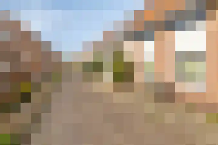 Dijk van Bommenede 22 Zonnemaire thumbnail 6