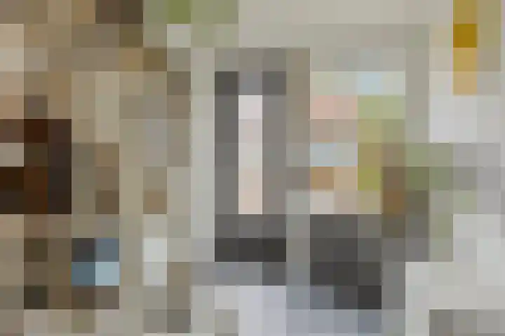Dijk van Bommenede 22 Zonnemaire thumbnail 8