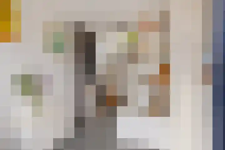 Dijk van Bommenede 22 Zonnemaire thumbnail 9
