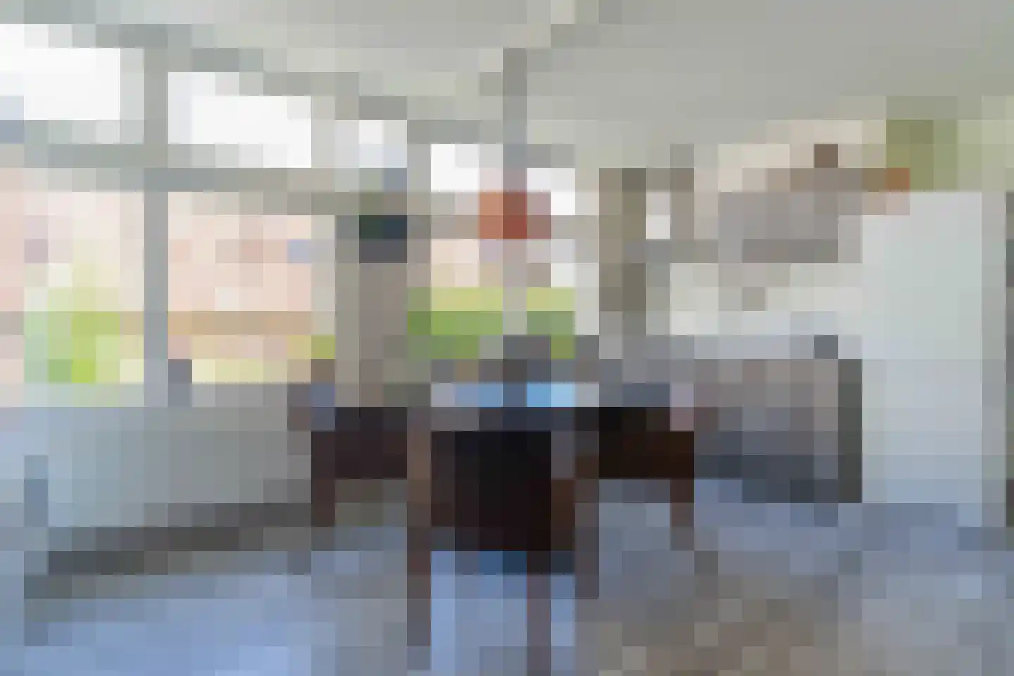 Dijk van Bommenede 24 a Zonnemaire thumbnail 13