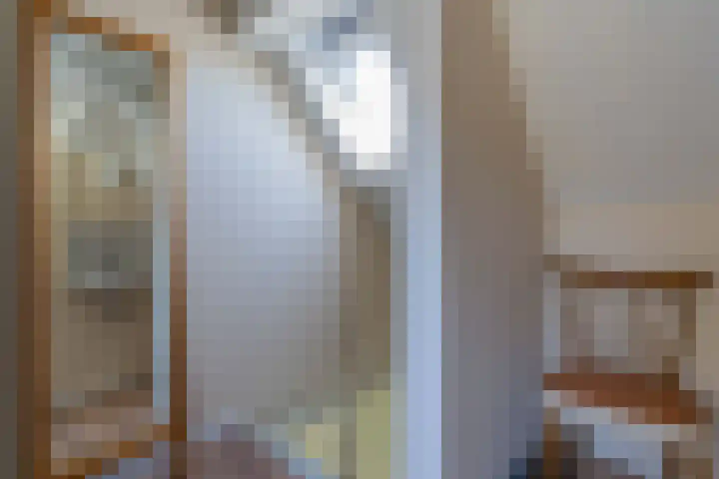 Dijk van Bommenede 24 a Zonnemaire thumbnail 21