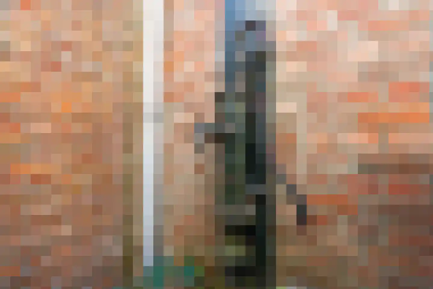 Dijk van Bommenede 24 a Zonnemaire thumbnail 27