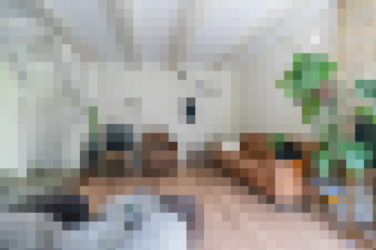 Dijk van Bommenede 24 a Zonnemaire thumbnail 5