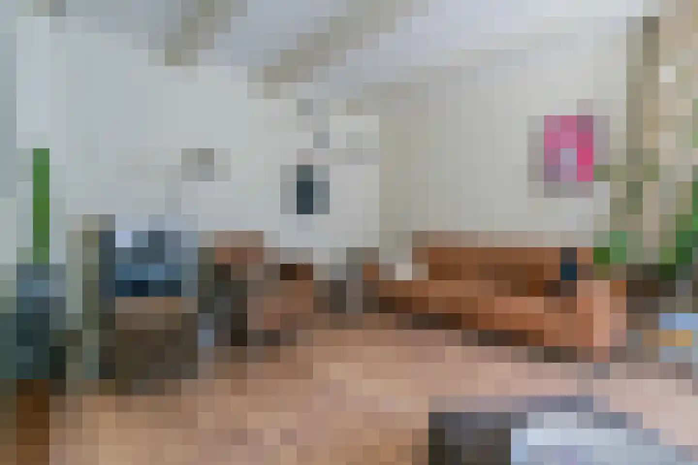 Dijk van Bommenede 24 a Zonnemaire thumbnail 6