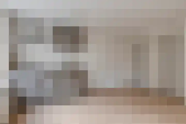 Dijk van Bommenede 24 Zonnemaire thumbnail 13