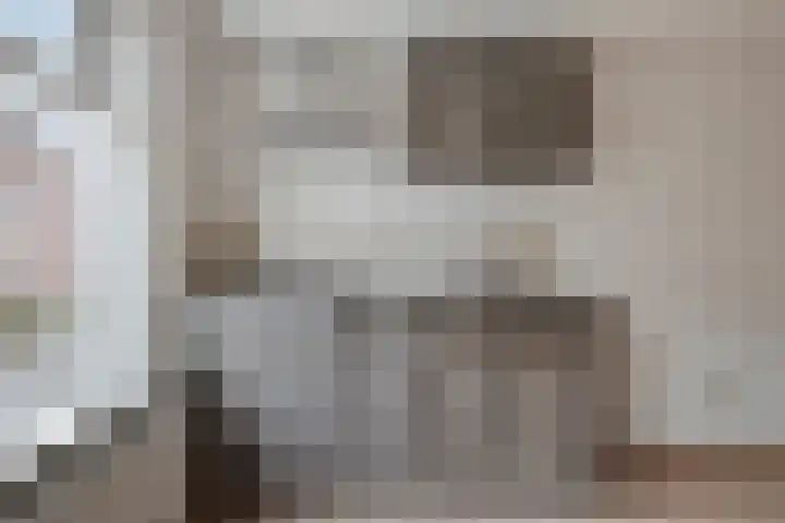 Dijk van Bommenede 24 Zonnemaire thumbnail 14
