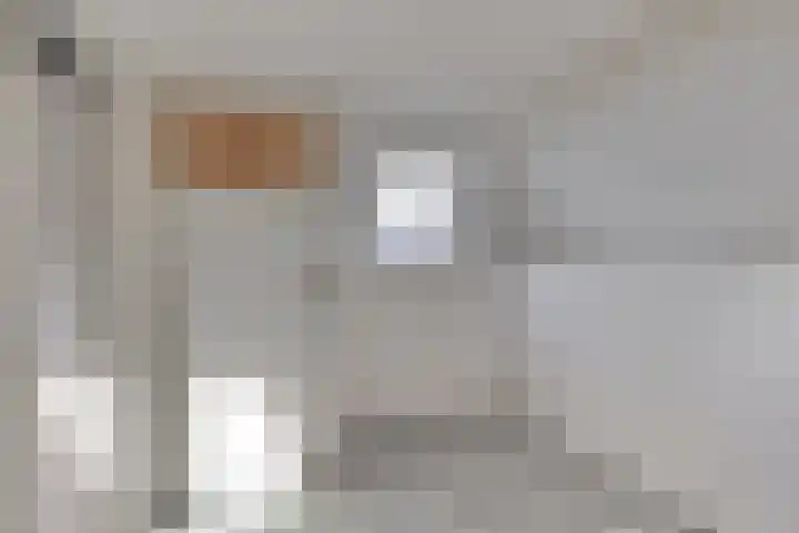 Dijk van Bommenede 24 Zonnemaire thumbnail 18